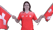 Switzerland Flags Sticker by Swiss Football Association