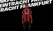 Celebration Bundesliga GIF by Eintracht Frankfurt