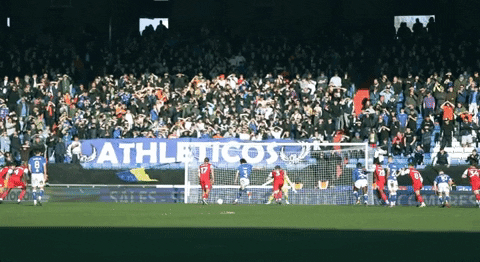 Ecfc Exetercity GIF by Exeter City Football Club