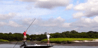 south carolina GIF