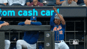 Celebrate Major League Baseball GIF by New York Mets
