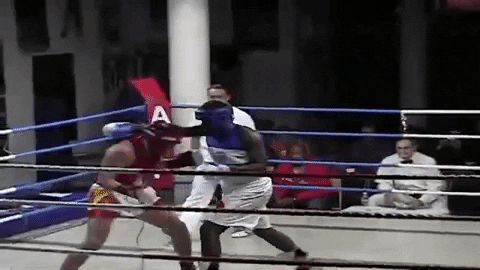 Martial Arts Boxing GIF by Casol