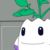 Money Crypto GIF by Magic Eden