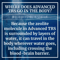 Lead Mercury GIF by detoxheavymetalssafely