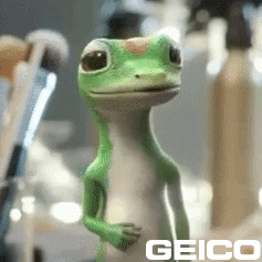 Car Insurance Quote GIF by GEICO