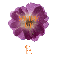 warnermusic_poland wmp ofelia warner music poland zaraz Sticker