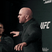 khabib nurmagomedov fight GIF by EA SPORTS UFC