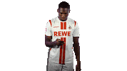 Scared 1 Fc Cologne Sticker by 1. FC Köln