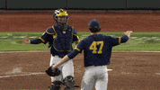 umichathletics hug henry donovan michiganbaseball GIF