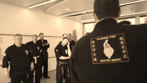 Martial Arts Boxing GIF by Flaming Fist Kenpo Germany - empty hands e.V.