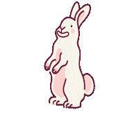 Cac Sticker by NTUCAC