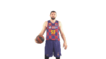 Fc Barcelona Basketball Sticker by ACB