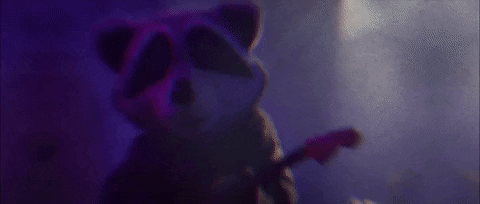 Guitar Raccoon GIF by Fall Out Boy