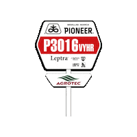 Pioneer Leptra Sticker by Agrotec S. A.