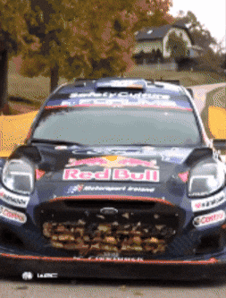 Coming In Hot Ford GIF by FIA World Rally Championship