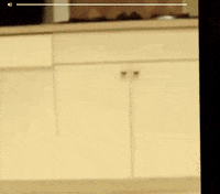 vine GIF