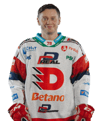 Hockey Czech Sticker by HC Dynamo Pardubice