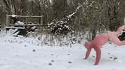 GIF by BarBend