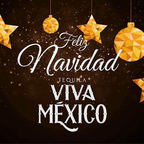 Feliz Navidad Mexico GIF by Casa Tequilera Viva México