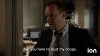 You Here To Bust My Chops?