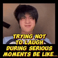 Funny Memes Try Not To Laugh GIF