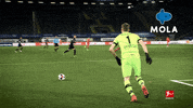 Football Fails GIF by MolaTV