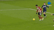 Ligainggris Westhamunited GIF by MolaTV