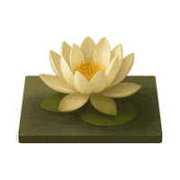 Anda Ba Flower Sticker by anda_ba