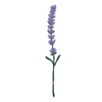Virtual Bouquet Sticker by Hello Flowers！