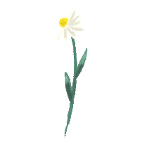 Virtual Bouquet Sticker by Hello Flowers！