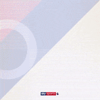 Football Soccer GIF by skysports
