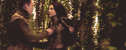 the tudors GIF