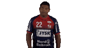Handball-Bundesliga Sport Sticker by LIQUI MOLY HBL