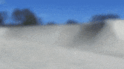 remote control car GIF by HPI Racing