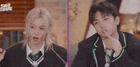 Stray Kids Skz GIF