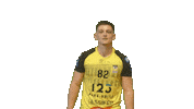 Sport Handball Sticker by Hazebrouckhandball