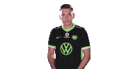E Sports Sport Sticker by VfL Wolfsburg
