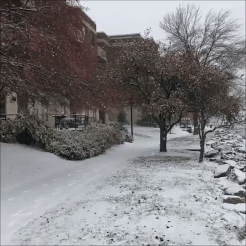Plow Clears Snow-Covered Sidewalk in Green Bay