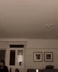 Larry Rita GIF by Grupo Gamma