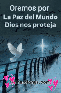Mar Del Mundo GIF by Murcianys LLC