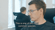 nerd coding GIF by Wikitude