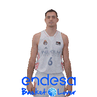 Vamos Real Madrid Baloncesto Sticker by Endesa Basket Lover