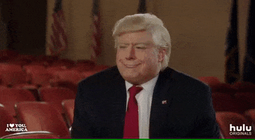 donald trump no GIF by HULU