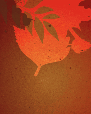 Thanks Thanksgiving GIF by We Set The Standards