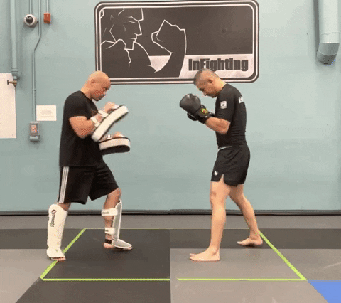 ritchieyip giphygifmaker kickboxing drills thai pads with shin guards GIF