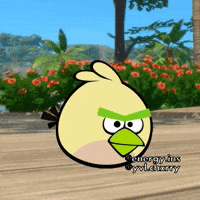 Pokemon Starters GIF