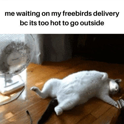 Freebirds Delivery GIF by Freebirds World Burrito