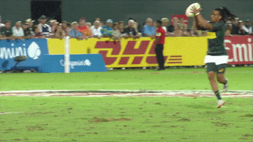 Avoid South Africa GIF by World Rugby