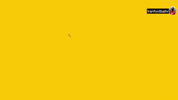 Sepahan GIF