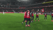 France Football GIF by Ligue 1